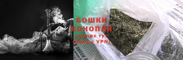 PSILOCYBIN Богданович