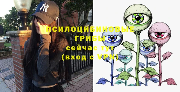 ПСИЛОЦИБИНОВЫЕ ГРИБЫ Богородицк