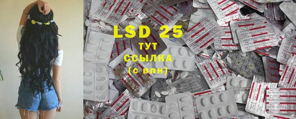 PSILOCYBIN Богданович