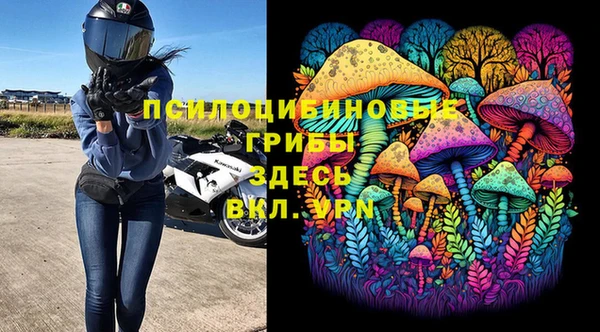 ПСИЛОЦИБИНОВЫЕ ГРИБЫ Богородицк