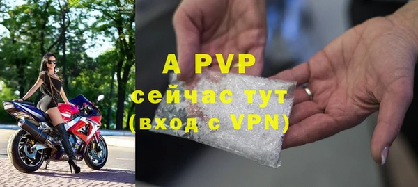 ПСИЛОЦИБИНОВЫЕ ГРИБЫ Богородицк