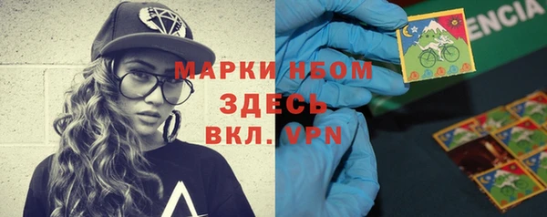 PSILOCYBIN Богданович