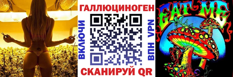 Галлюциногенные грибы ЛСД Старица