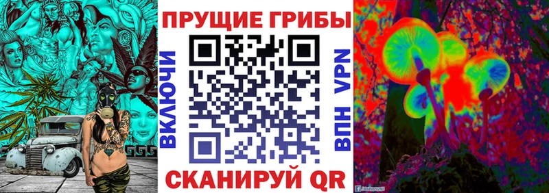 Галлюциногенные грибы ЛСД  где можно купить   Старица 
